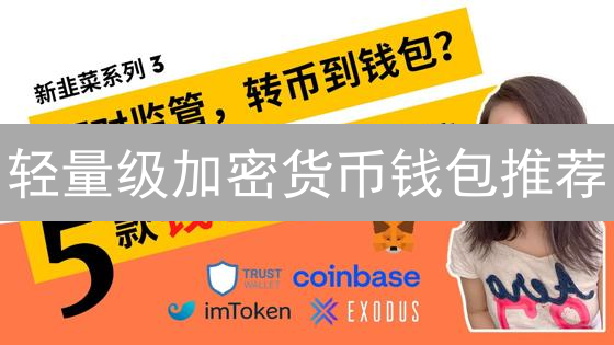 轻量级加密货币钱包推荐：速度、便捷与安全性并存的选择