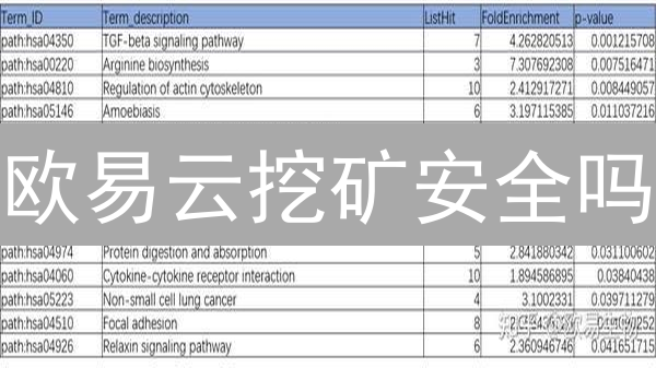 欧易云挖矿安全吗？如何保护你的数字资产？