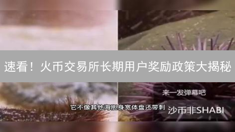速看！火币交易所长期用户奖励政策大揭秘：如何躺赚？