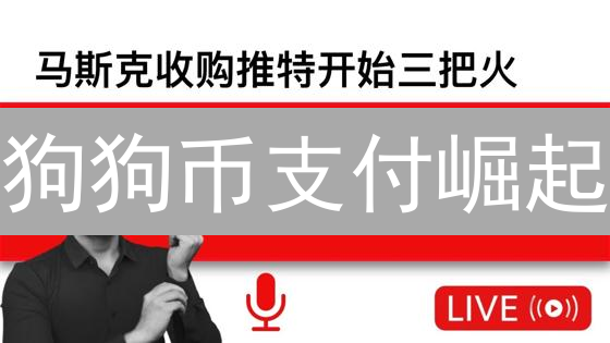 狗狗币支付崛起？颠覆传统支付的潜力解读！