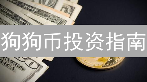 狗狗币投资指南：5大交易平台深度测评，抓住暴富机会！