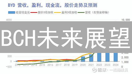 BCH未来展望：火币视角下的比特现金崛起之路【深度分析】