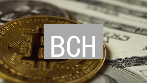 BCH：颠覆支付？比特币现金支付应用全景分析 (2024最新)