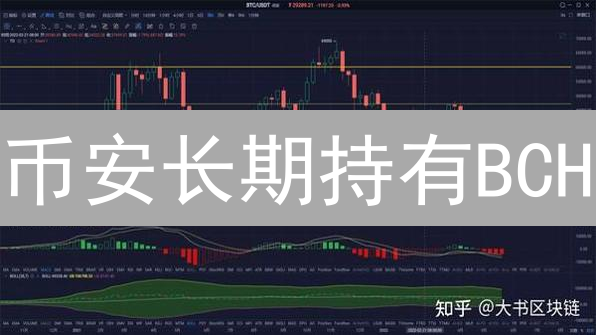 币安长期持有BCH：潜在收益与风险速览 (附实战策略)