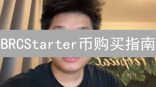 BRCStarter币购买指南：你必须知道的5个技巧！