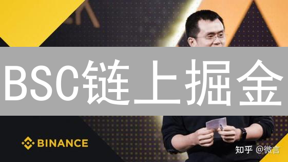 BSC链上掘金：新手入门DeFi数据分析，暴富指南？