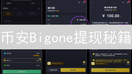 币安Bigone提现秘籍：高效安全管理地址，避免资产损失！