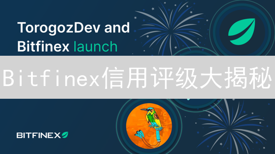 Bitfinex信用评级大揭秘：安全吗？值得信赖吗？深度剖析！