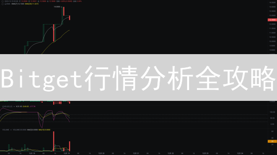 Bitget行情分析全攻略：新手如何快速上手？【实用指南】