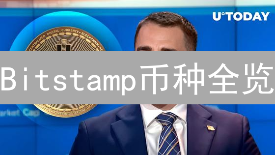 Bitstamp币种全览：抓住最新加密货币交易机会！