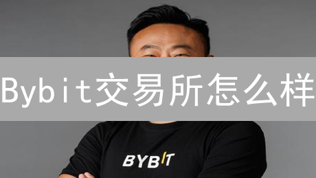 Bybit交易所怎么样？新手指南：掘金加密货币衍生品，现在上车！