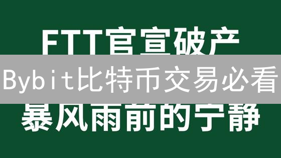 Bybit比特币交易必看：宏观、数据、技术与风控全攻略！