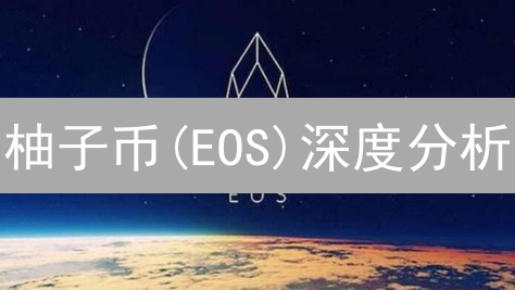柚子币(EOS)深度分析：机遇、挑战与未来发展趋势