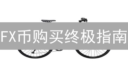 FX币购买终极指南：安全交易所选择与投资策略