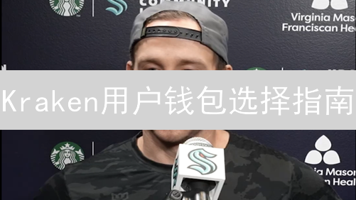 Kraken用户钱包选择指南：硬件钱包推荐与安全存储策略