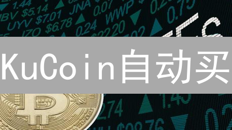 KuCoin自动买：如何躺赚？策略、工具与风险全解析！