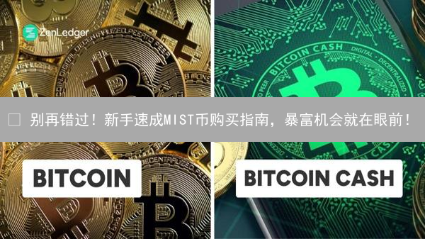 😱 别再错过！新手速成MIST币购买指南，暴富机会就在眼前！