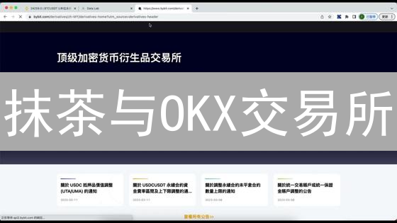 抹茶与OKX交易所：期权策略在加密货币风险控制中的应用