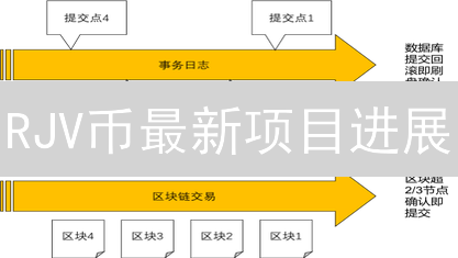 RJV币最新项目进展：技术升级与社区生态建设