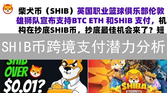 SHIB币跨境支付潜力分析：能解决传统痛点？现在布局晚吗？
