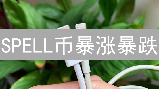 SPELL币暴涨暴跌？深度解析影响因素及未来走势！