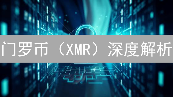 门罗币（XMR）深度解析：隐私保护的利器与局限？